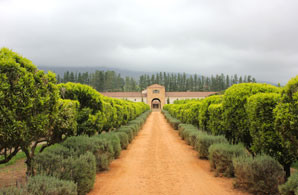  Franschhoek