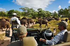 Kruger 